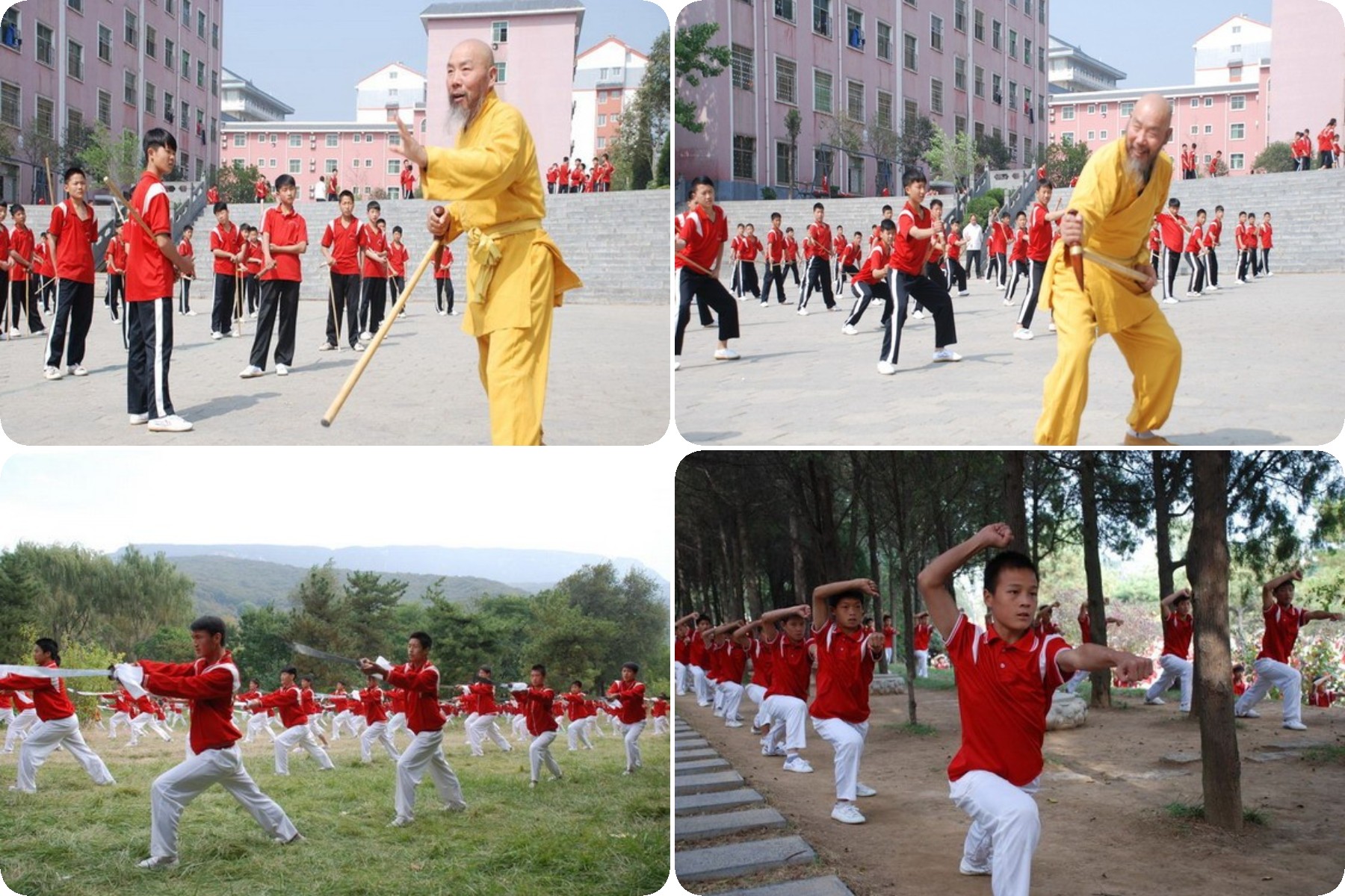 去少林学武术一年要用多少钱