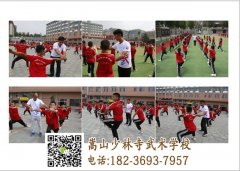 刚去少林武校的学员都学些什么功夫呢？