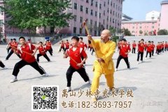 嵩山少林文武学校属于什么性质的学校