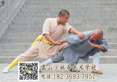 到嵩山少林武术学校学武学费贵吗？