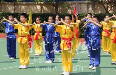 小孩子多大练武术最好？小孩子学什么武术比较好