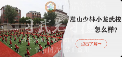 上嵩山少林文武官方学校学功夫要什么条件?