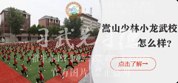 上嵩山少林文武官方学校学功夫